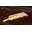 SaltRiverRustic Icon